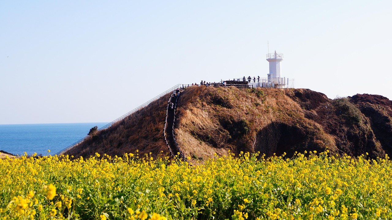 제주도 택배비 지원 사업 신청
