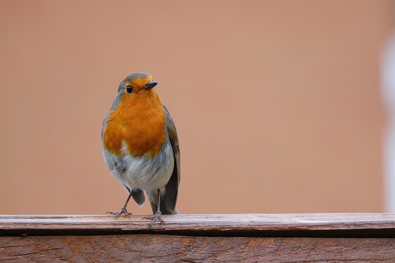 극복하다 영어로