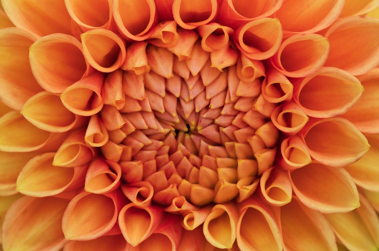 무료 심리상담센터