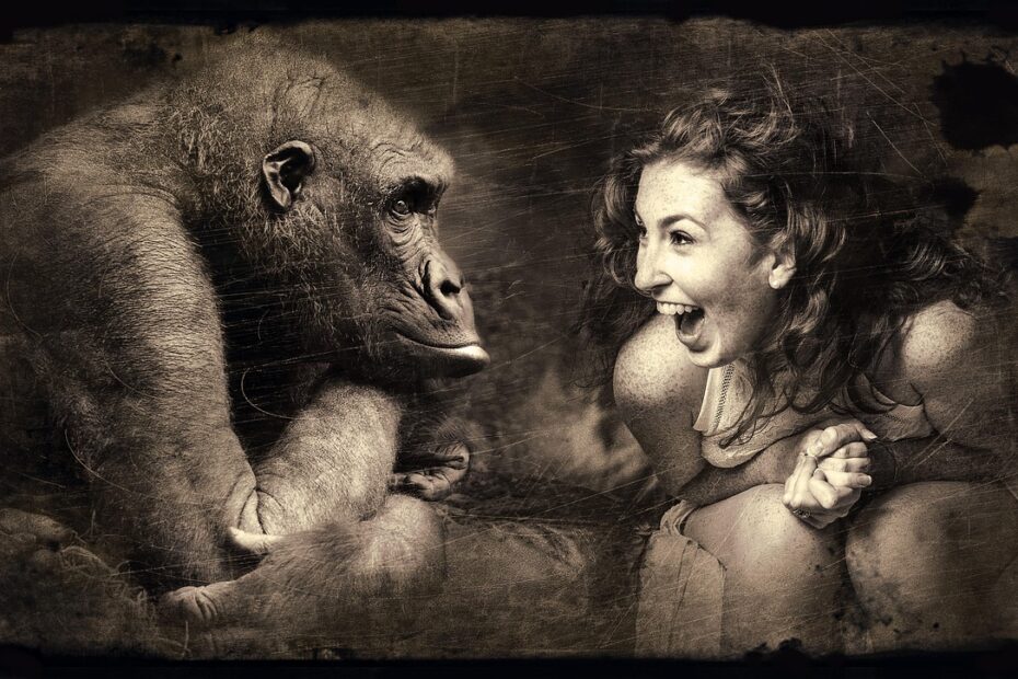 무엇이든 물어보살 아이돌 작곡가