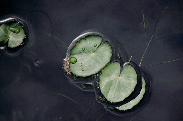 두각 윈터스쿨 관련 이미지 1