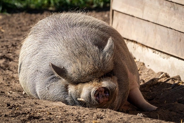 뱃살빼는법 관련 이미지 3