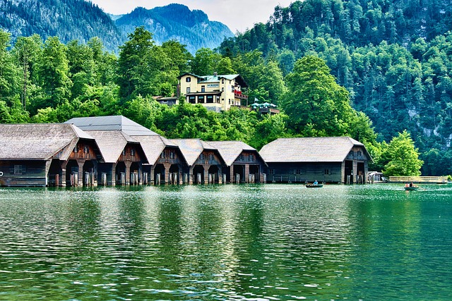 샤인머스켓 보관 관련 이미지 2