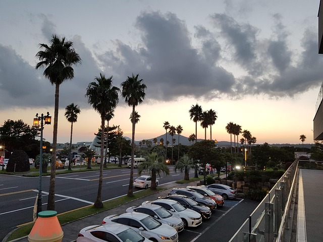 서귀포 e티켓 관련 이미지 1