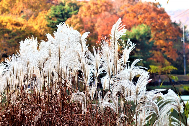 분당 대찬 관련 이미지 3
