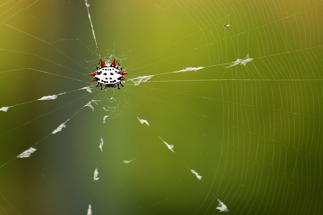 구인구직사이트 관련 이미지 2