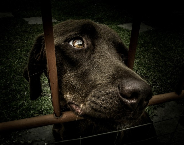 한화인 채용 관련 이미지 3