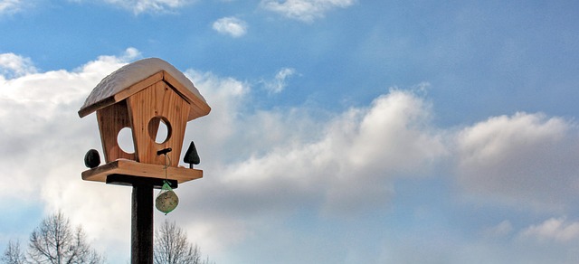 체지방률 계산 관련 이미지 2