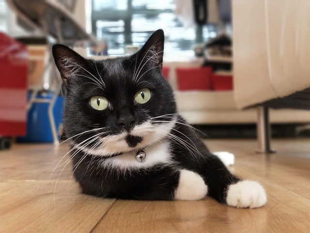 수능 평가원 관련 이미지 1