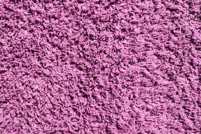 페브릭정 관련 이미지 3