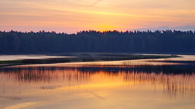 echo 관련 이미지 2