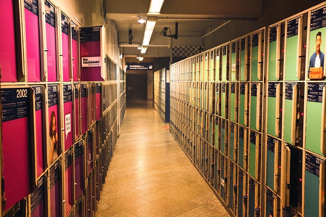 샤인머스켓 보관 관련 이미지 1