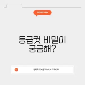 현자의 돌 등급컷