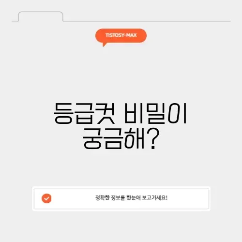 현자의 돌 등급컷