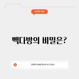 빽다방 애사비