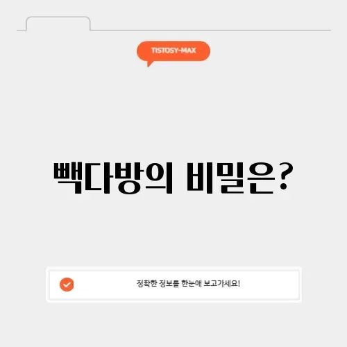 빽다방 애사비 빽다방 애사비