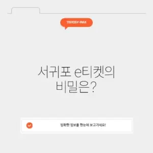 서귀포 e티켓