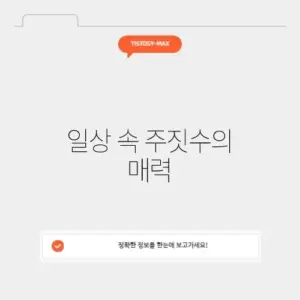 스트릿 주짓수