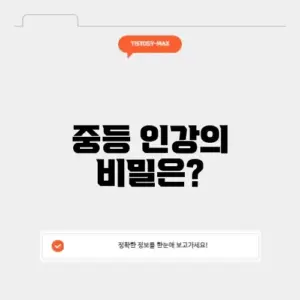 중등인강