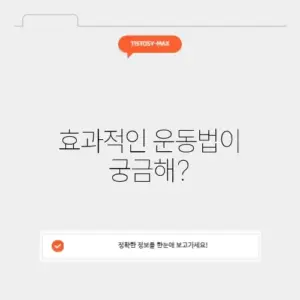 뱃살빼는운동