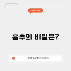 흉추