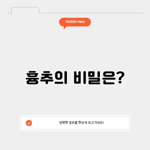 흉추 흉추