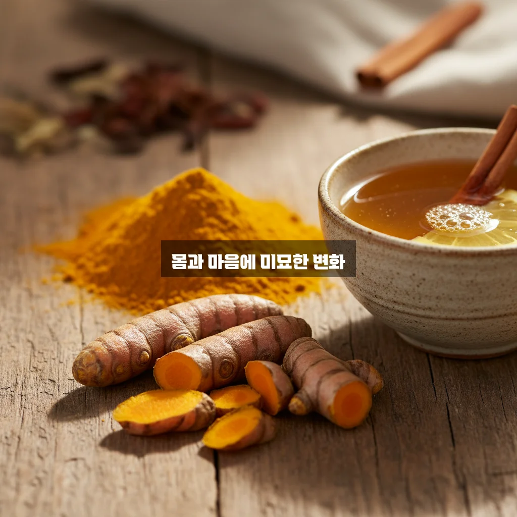 강황(커큐민) 효능 관련 이미지 2