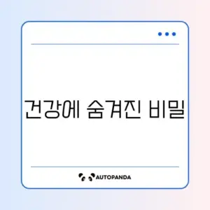 시나몬 가루 효능 (계피)