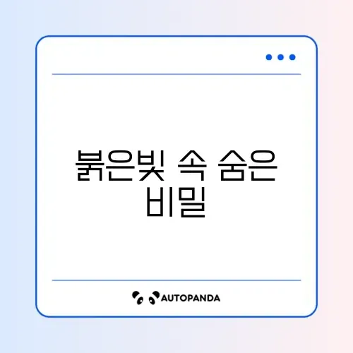 히비스커스 차 효능