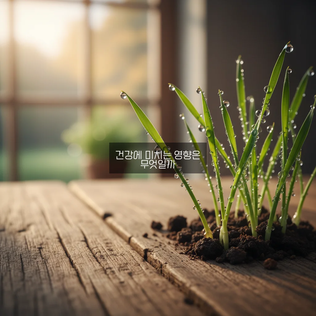 새싹보리 효능/부작용 관련 이미지 1