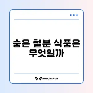 철분 많은 음식 (빈혈)