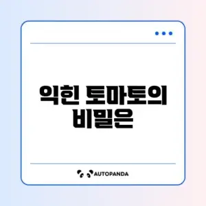 토마토 효능 (익혀 먹기)