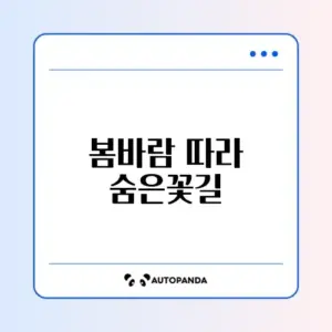 실시간 서울 벚꽃 개화 시기 및 숨은 명소 핫플레이스