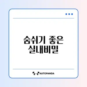 실내 공기정화 식물 추천: 키우기 쉬운 종류 7가지
