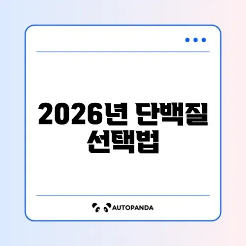 2026년 단백질 쉐이크 추천 완벽 가이드 알아보기