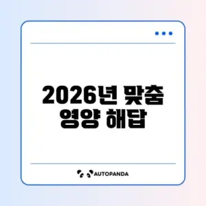 2026년 멀티비타민 추천 완벽 가이드 알아보기