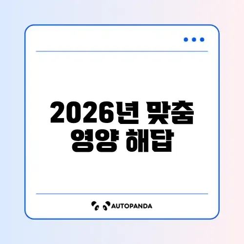 2026년 멀티비타민 추천 완벽 가이드 알아보기