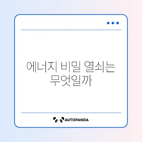 코엔자임Q10, 효과와 활용법 완벽 정리 알아보기 썸네일