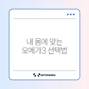 2026년 오메가3 추천 완벽 정리 가이드