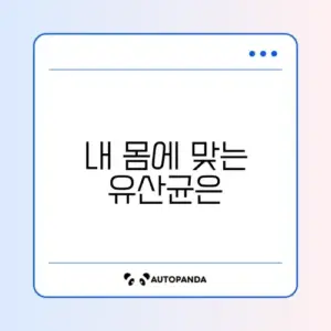 2026년 유산균 추천 완벽 정리 알아보기