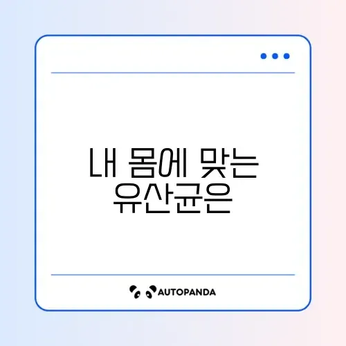 2026년 유산균 추천 완벽 정리 알아보기