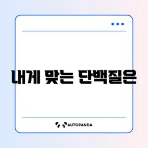 단백질 쉐이크 추천 기준 완벽 정리 가이드