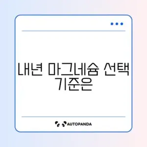 2026년 마그네슘 추천 완벽 정리 가이드