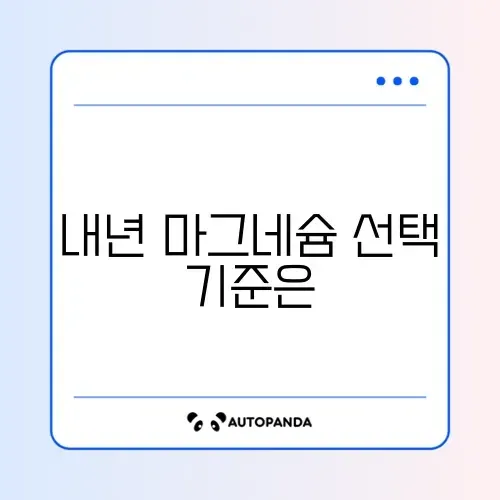 2026년 마그네슘 추천 완벽 정리 가이드