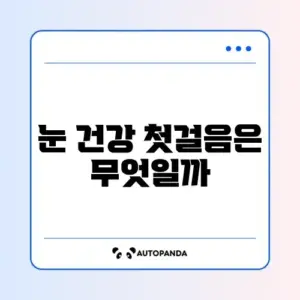 루테인 시작하는 방법 완벽 정리
