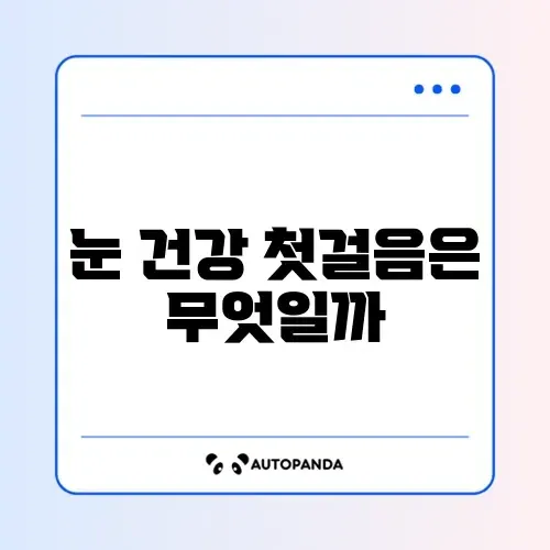 루테인 시작하는 방법 완벽 정리