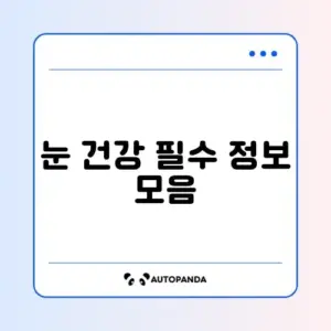 2026년 루테인 추천 완벽 정리 가이드