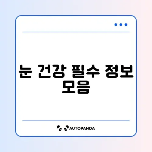 2026년 루테인 추천 완벽 정리 가이드