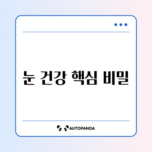 루테인 초보자 가이드 완벽 정리 방법 알아보기