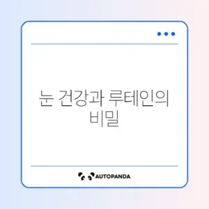 루테인 효과와 부작용 완벽 정리 가이드